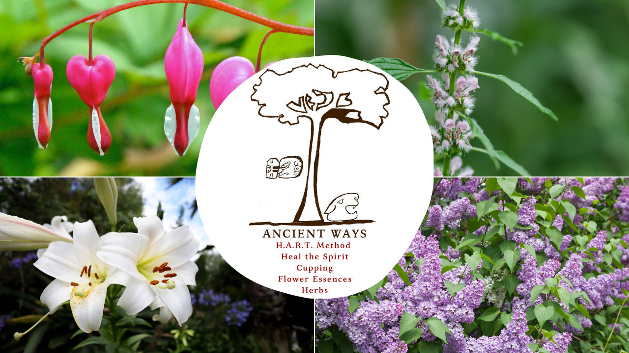 Ancient Ways Logo with Ceiba tree, jaguar head, and icon