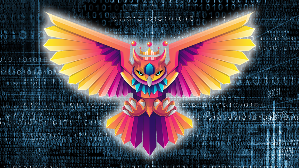 Practical API Hacking Owl logo on a binary code background