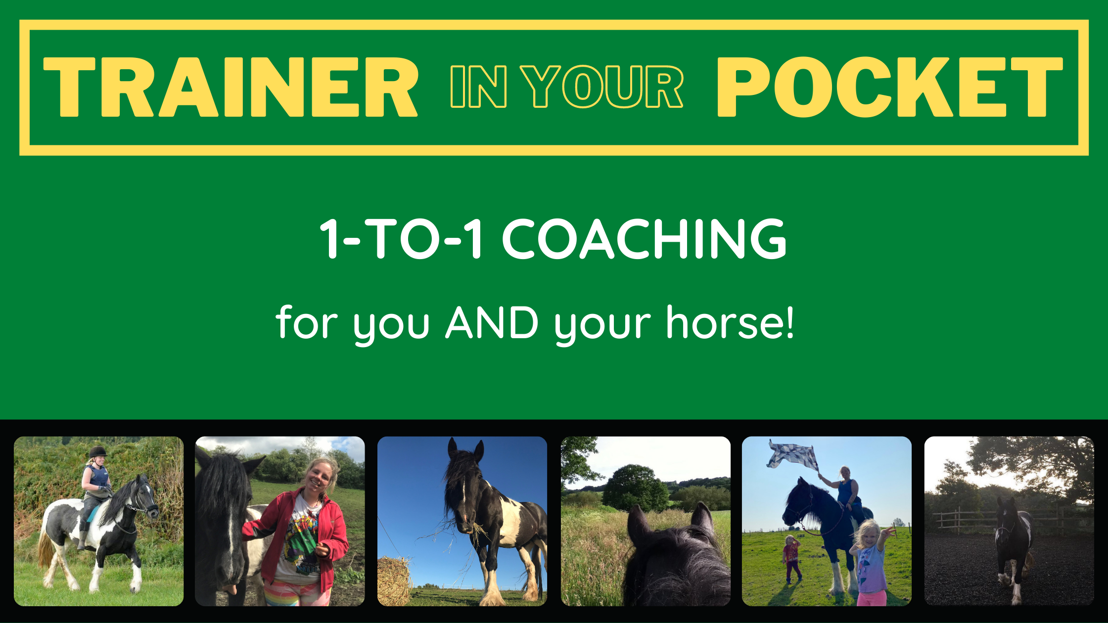 HORSE TRAINER IN YOUR POCKET - CLICK HERE