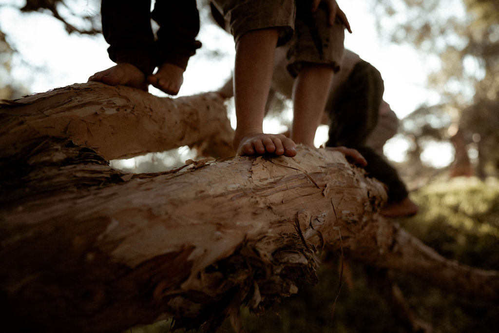 A young girl sitting on a tree brand looking away from the camera natural landscape