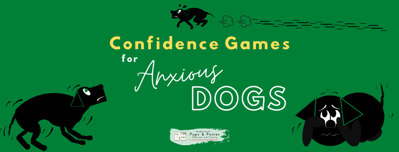 CONFIDENCE GAMES FOR ANXIOUS DOGS