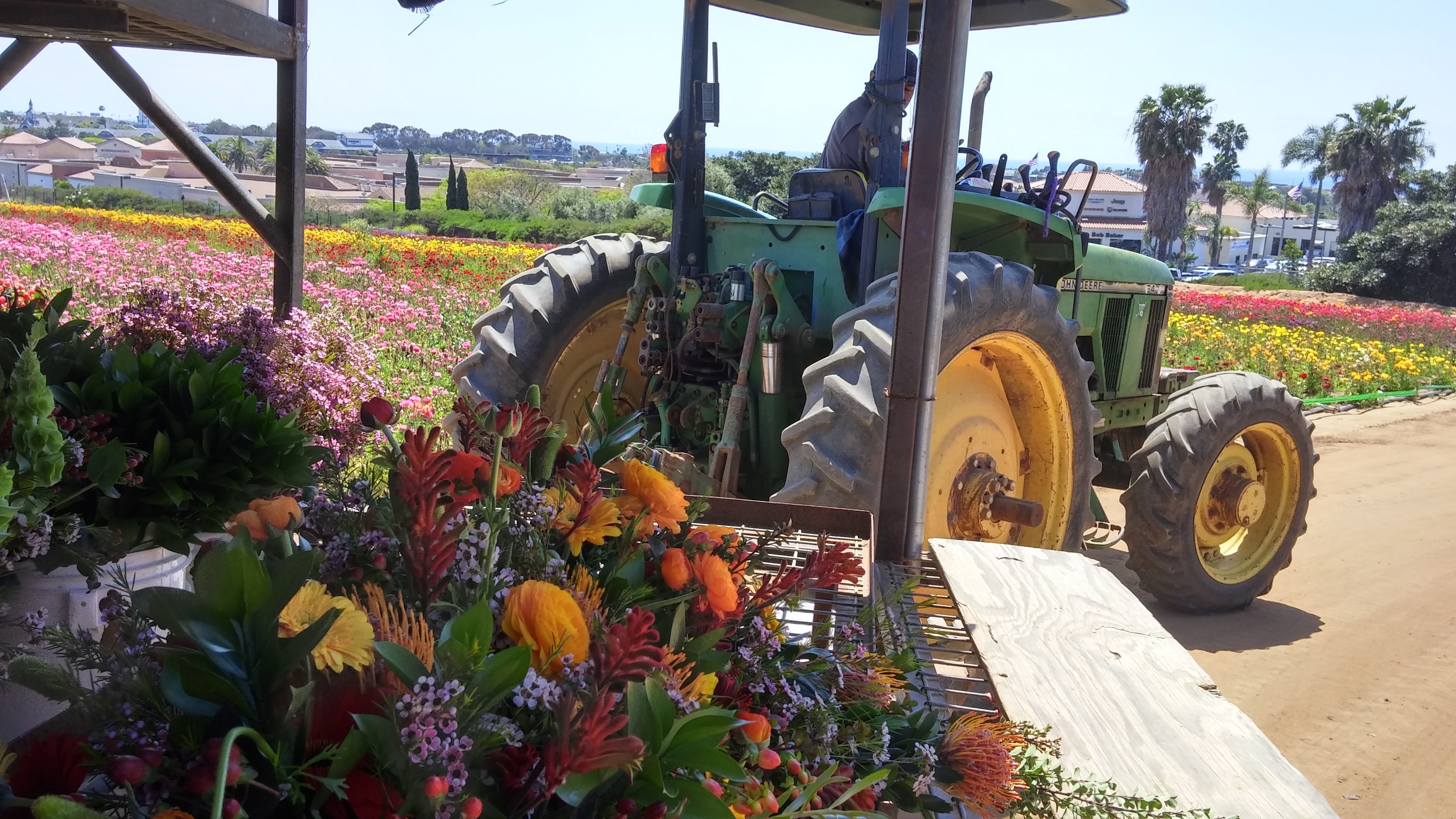 Tractor pulling flowers