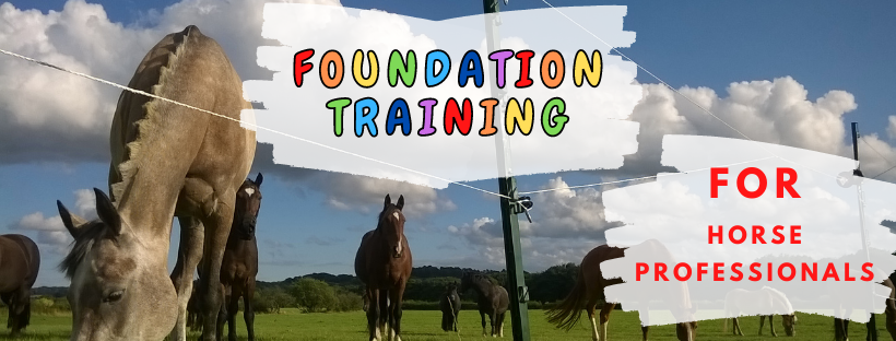 Foundation Training FOR HORSE PROFESSIONALS