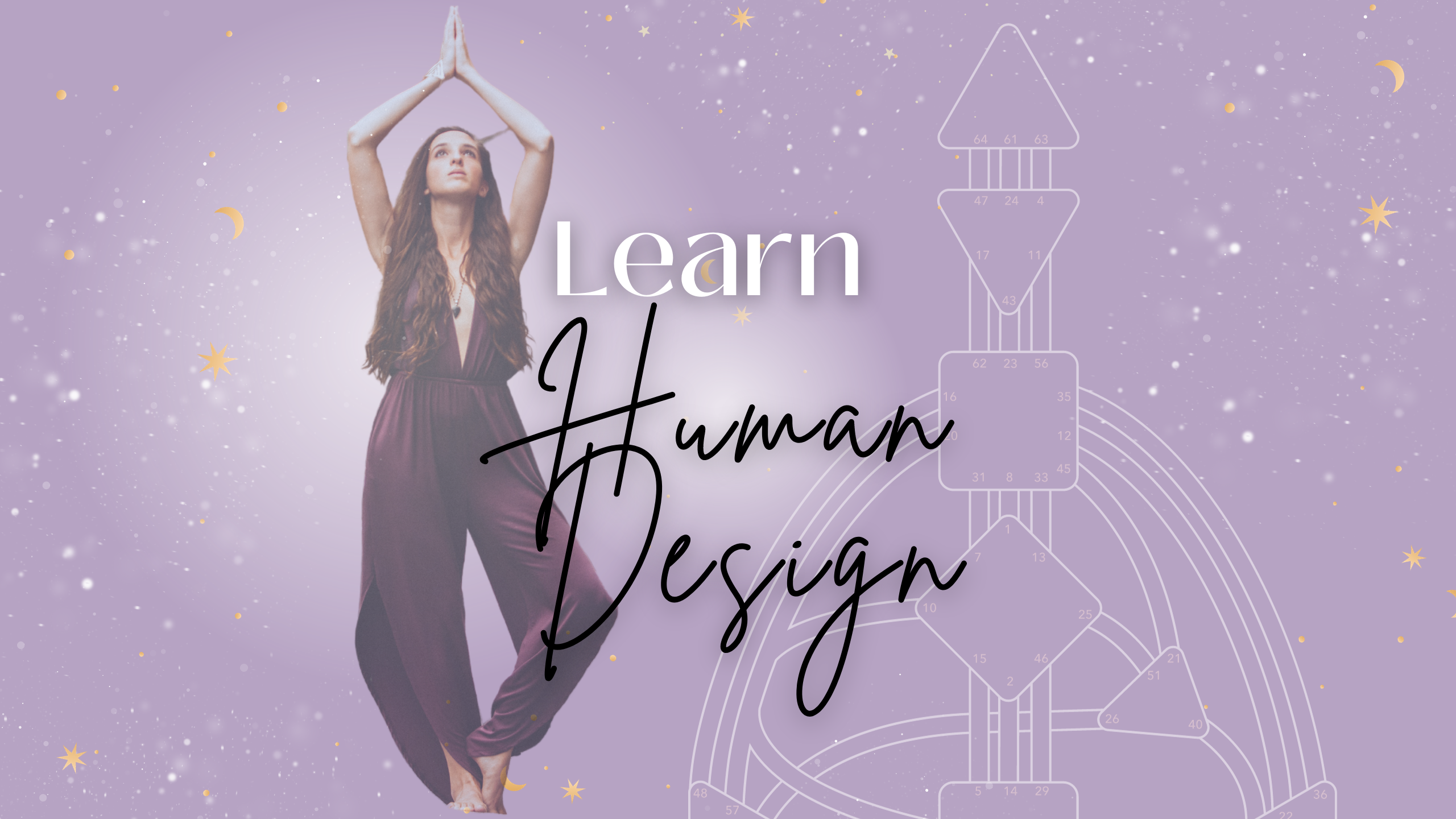learn human design