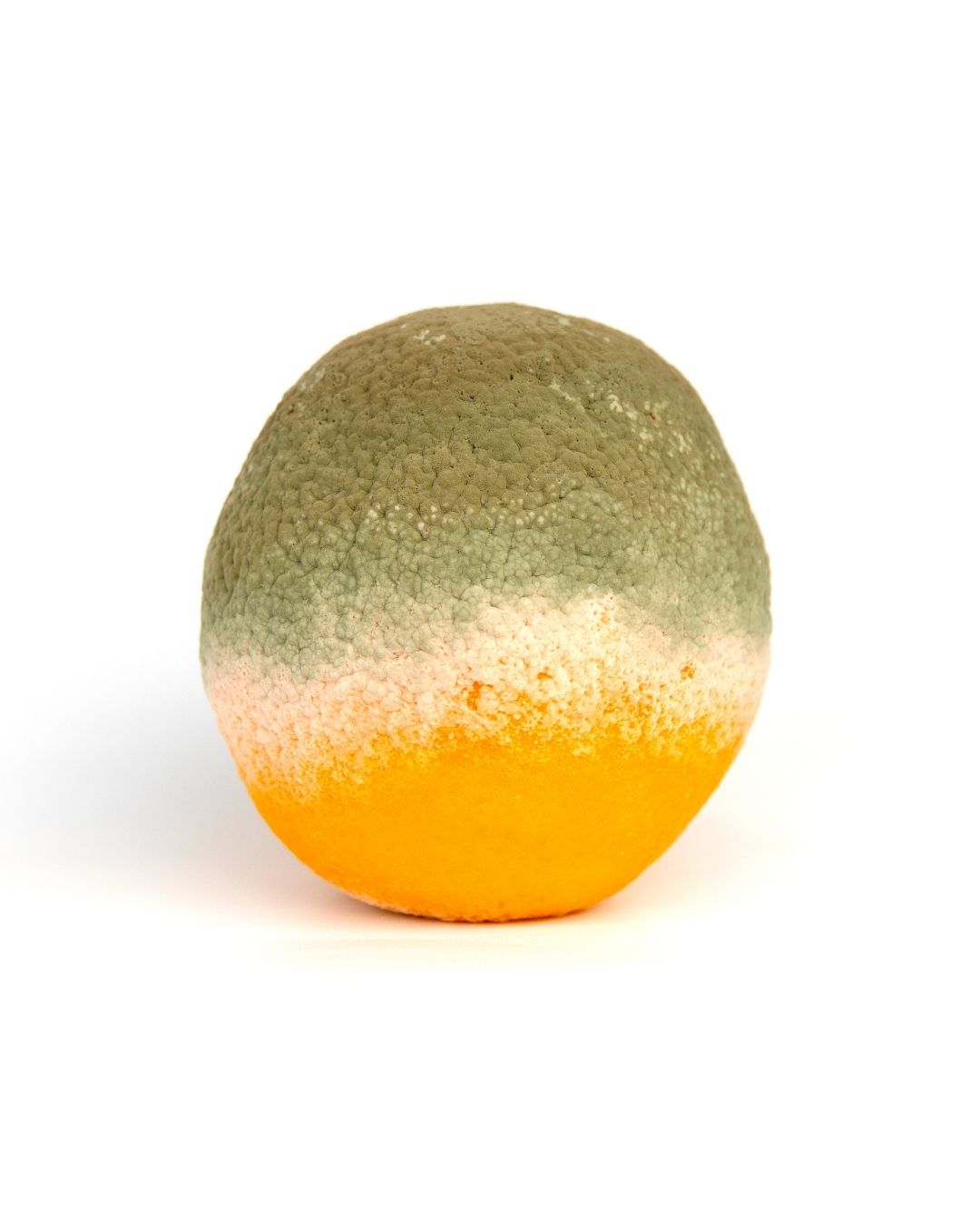 The upper half of an orange is covered with greenish mold, a border of beige mold divides the healthy orange from the green mold