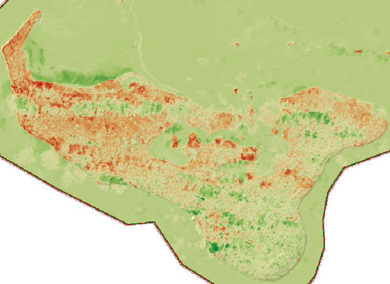 Tonga Island, NDVI Difference Image