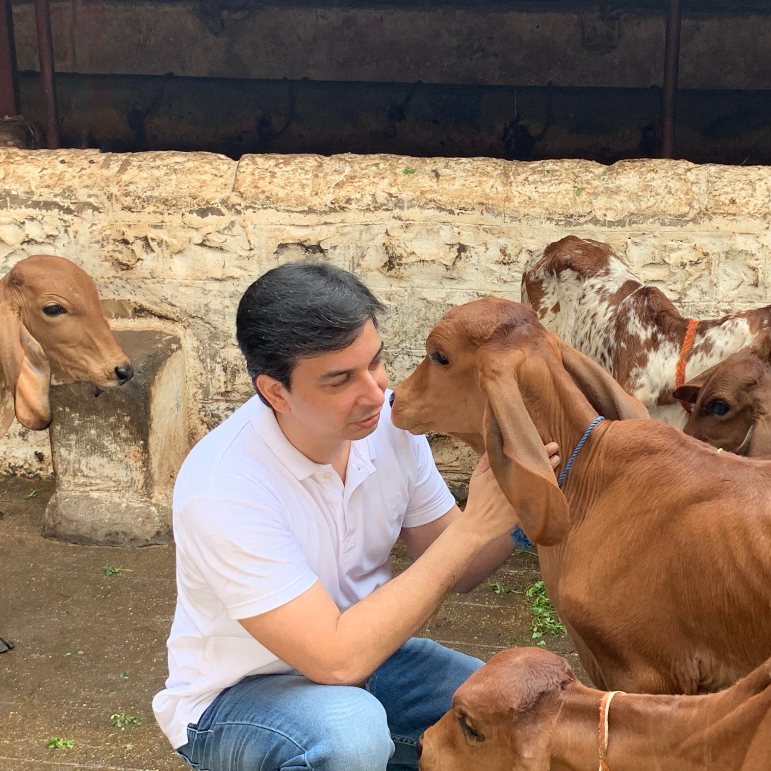 Acharya Upendra Ji with the Cow