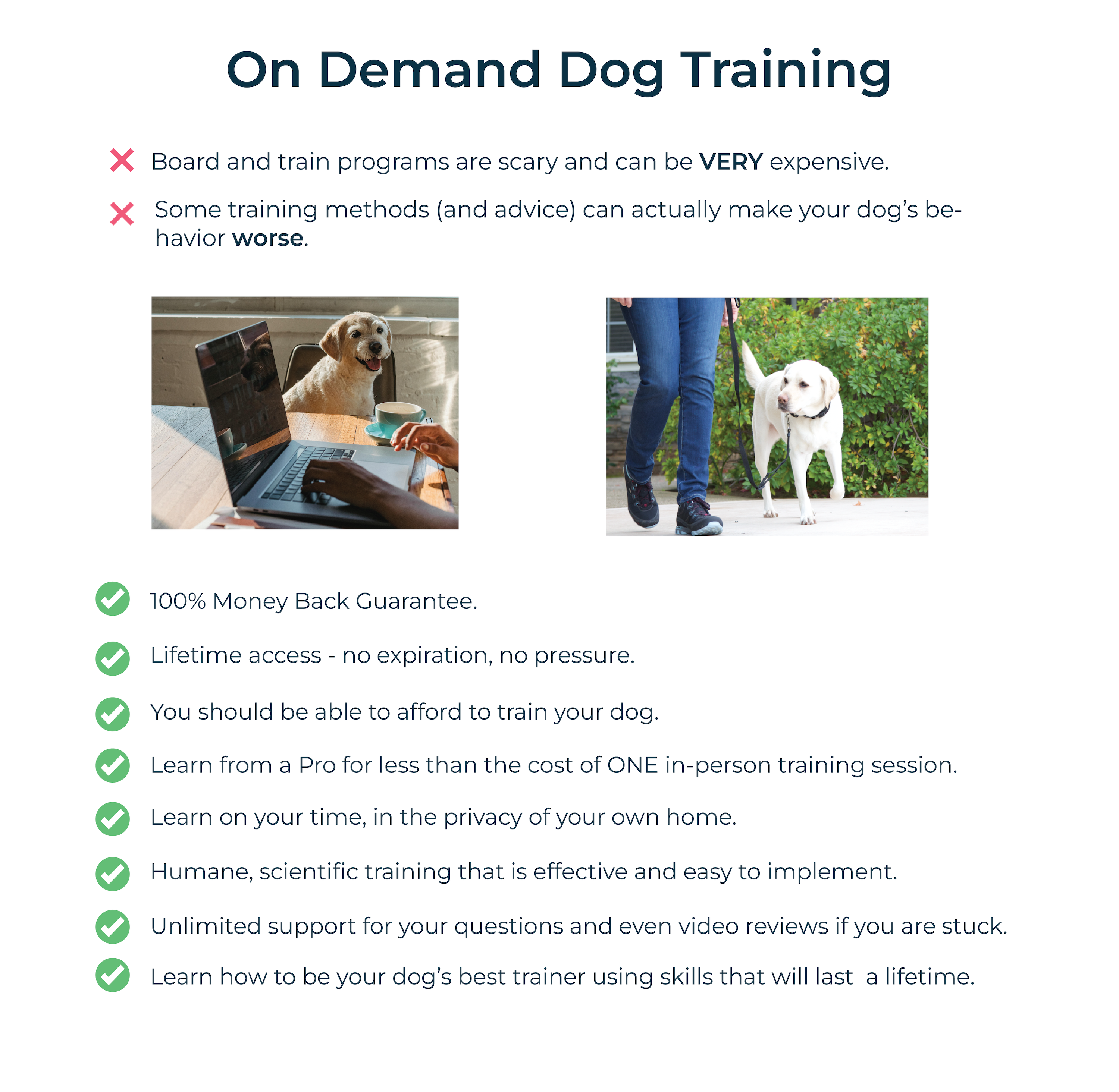 an image showing whats included in an on demand dog training course from fearless pet