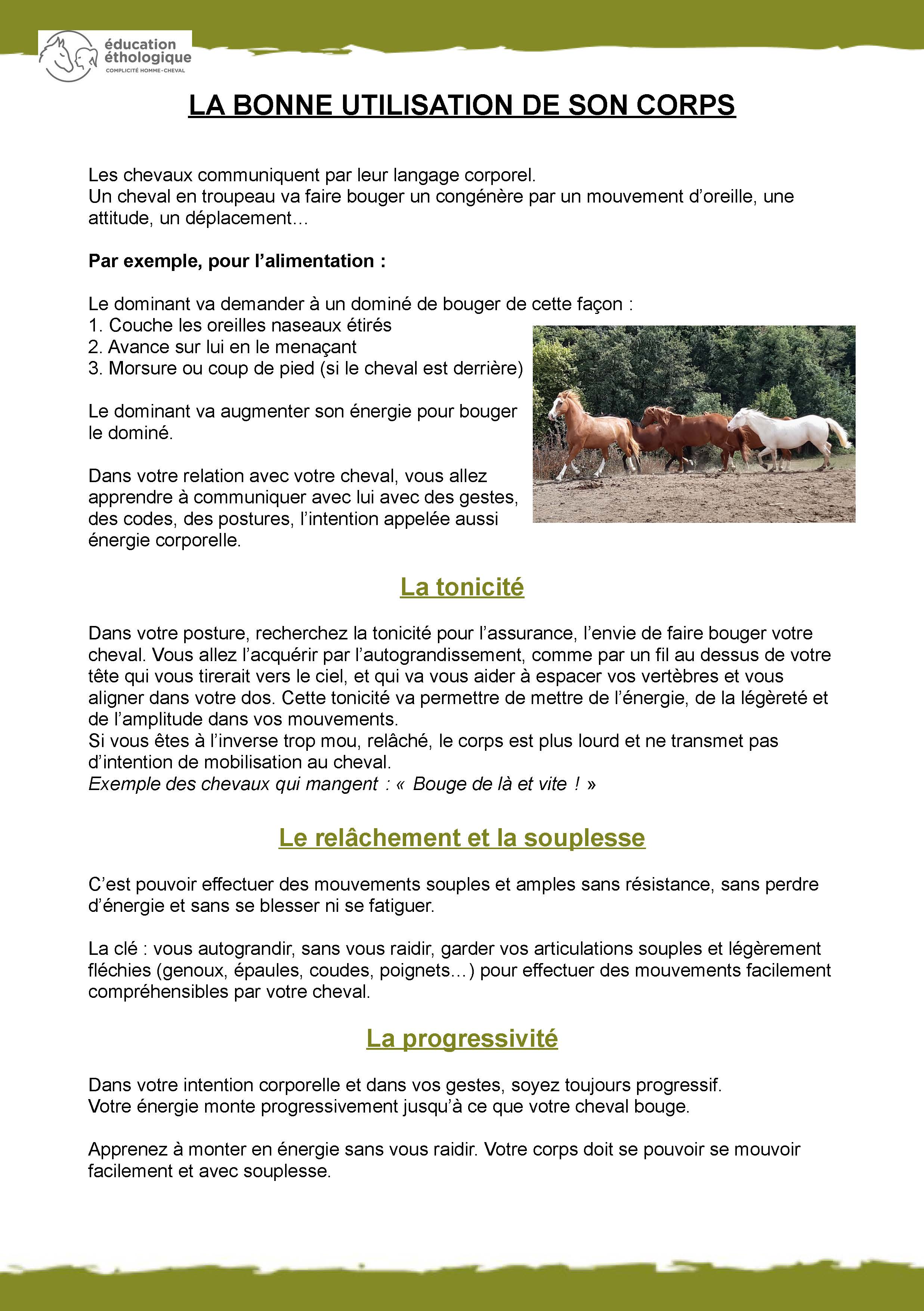 Extrait du module 2 : J&#39;écoute mon corps et mon esprit : Gestion corporelle, émotionnelle, confiance et coordination