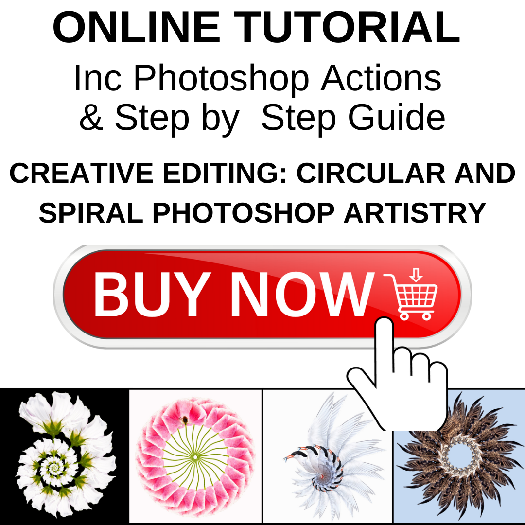 photoshop spiral and circle patterns