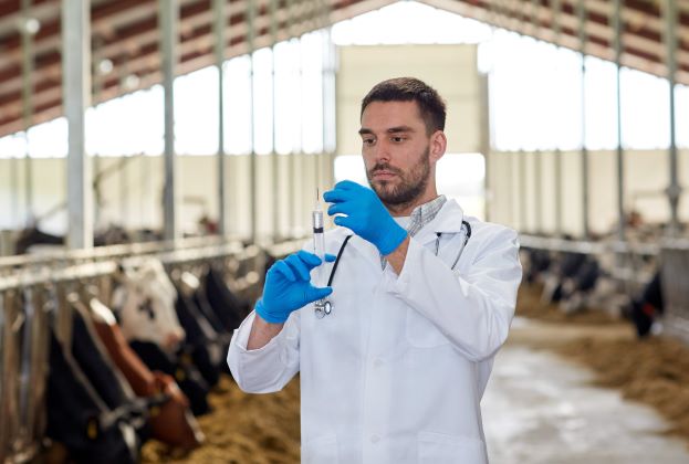 How to check milk quality in your dairy farm