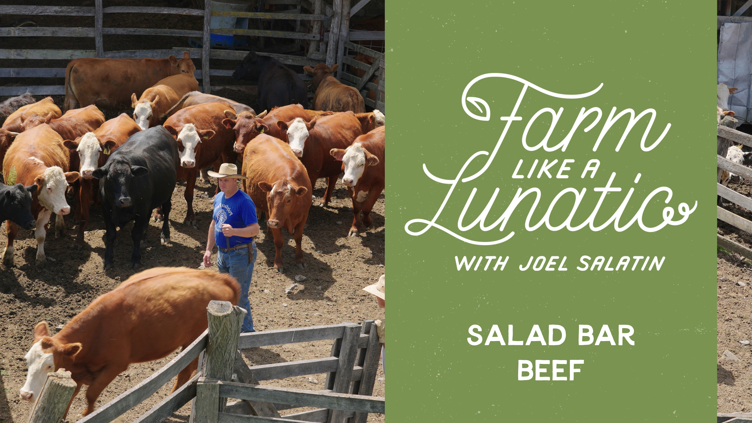 Salad Bar Beef