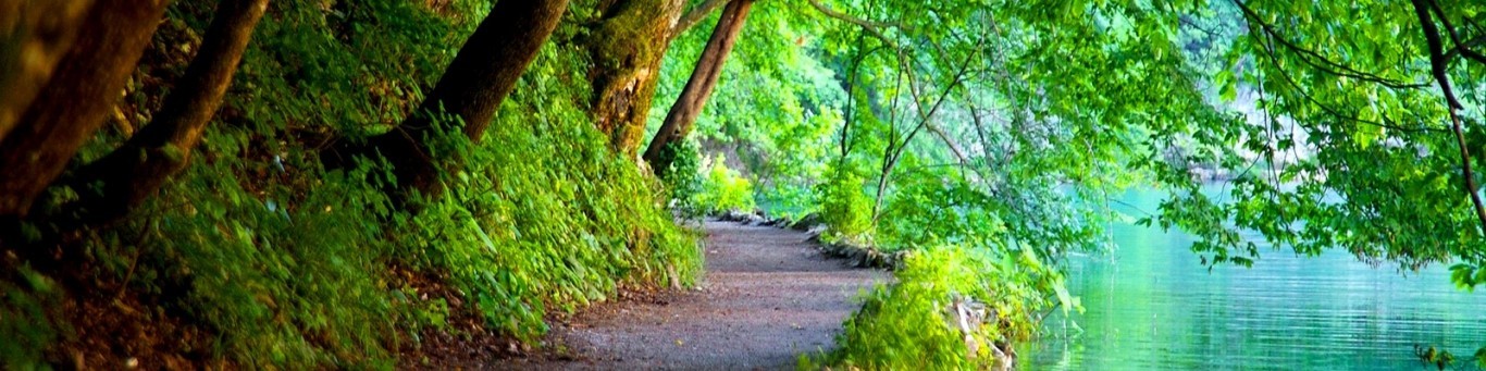 picture of lush forest and lake pathway with the words, Skills, Tools, and Cotninuing Education for Therapists. Practical hands on resources to support you. Top banner for the teachable school DWC-Mental Health Education and Training