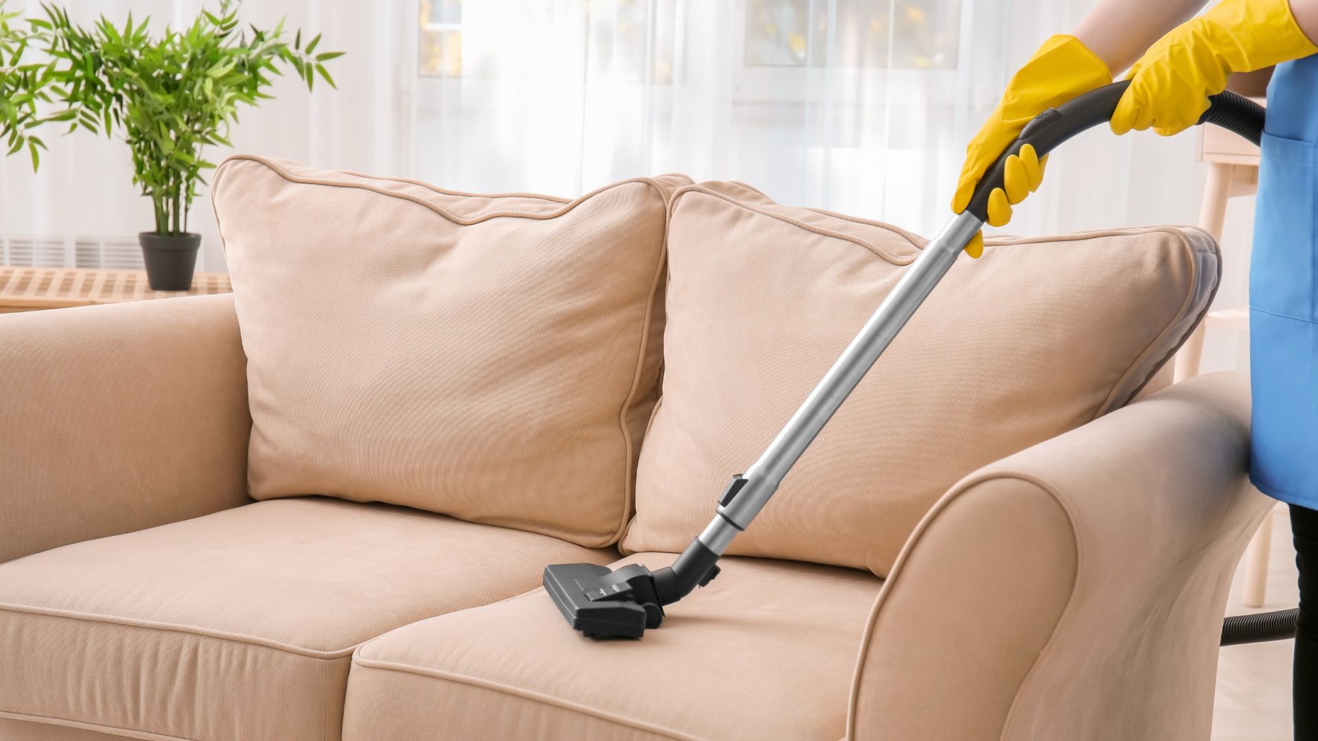 Upholstery Cleaning Near Me