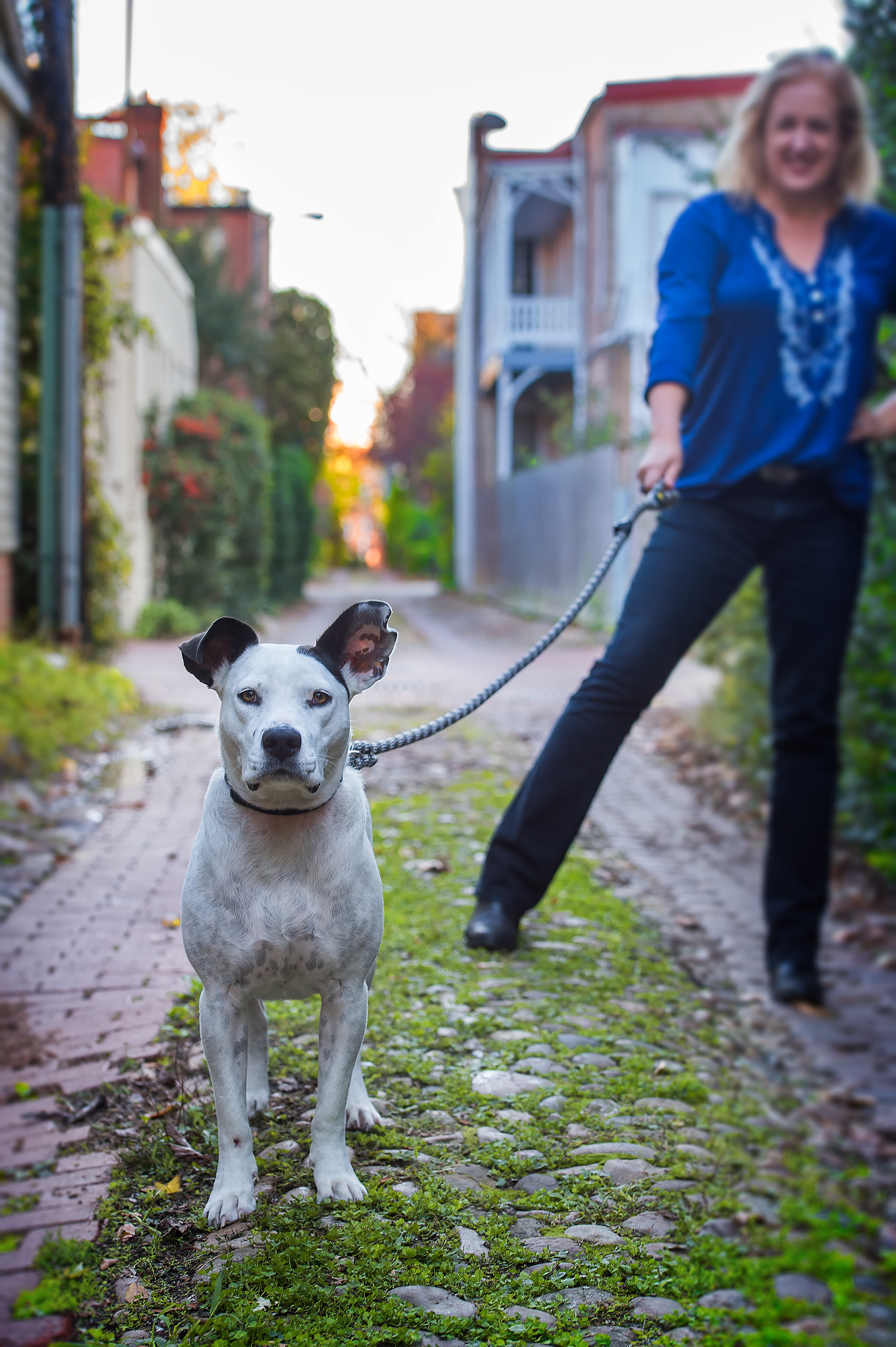 A white dog stares at the camera, while a woman in a blue embroidered shirt holds the dog&#39;s leash.