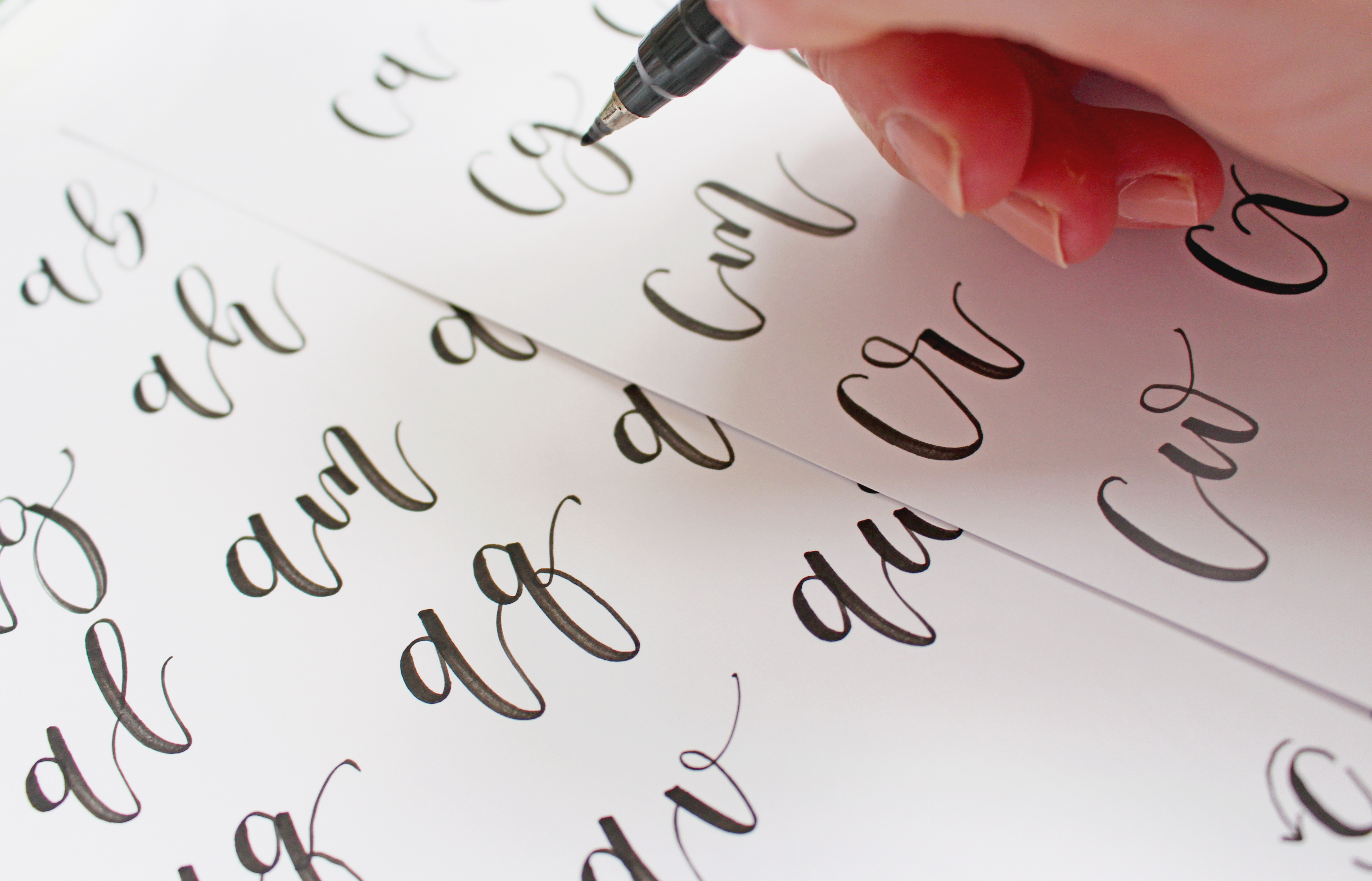Lettering Calligraphy Course