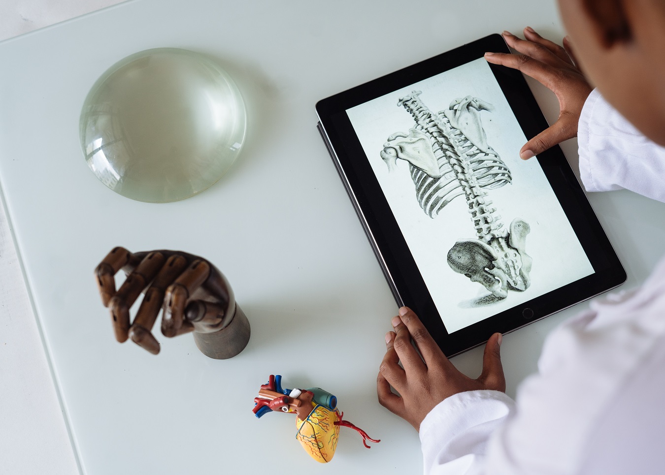 Student of narrative medicine with a tablet showing an skeleton
