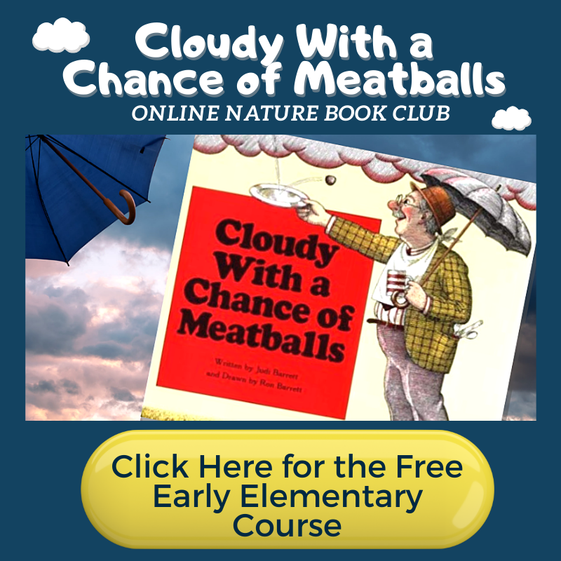 Cloudy With A Chance of Meatballs Online Book Club  - Free at Literary Adventures for Kids