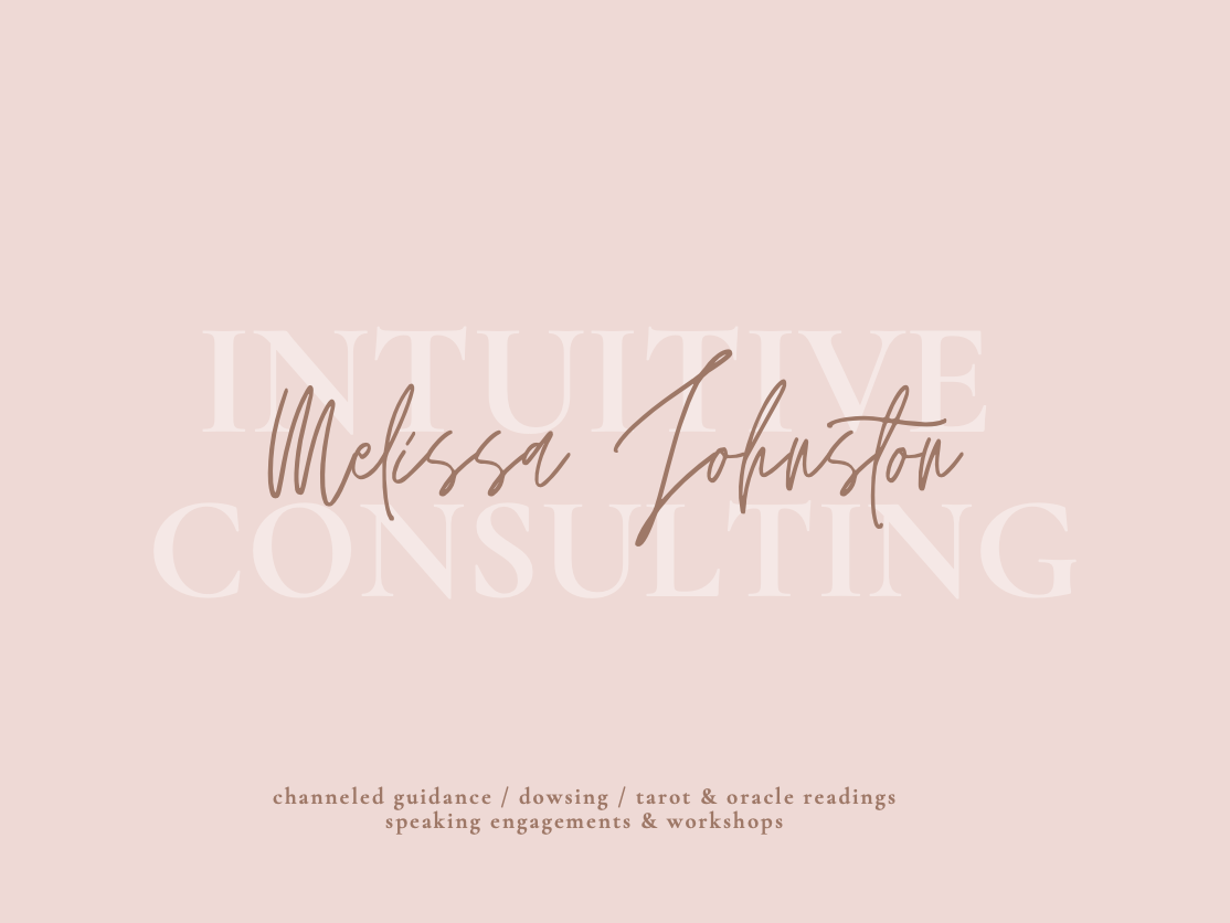 Intuitive Consulting Melissa Johnston Narcissistic Abuse Expert, Certified Personal Development Coach, High Conflict Divorce, Nirvana Collective Inc., RebelSoul Collective, Melissa Marina, Melissa Binns, DivorceHack: Documentation Workshop for High Conflict Custody Battle