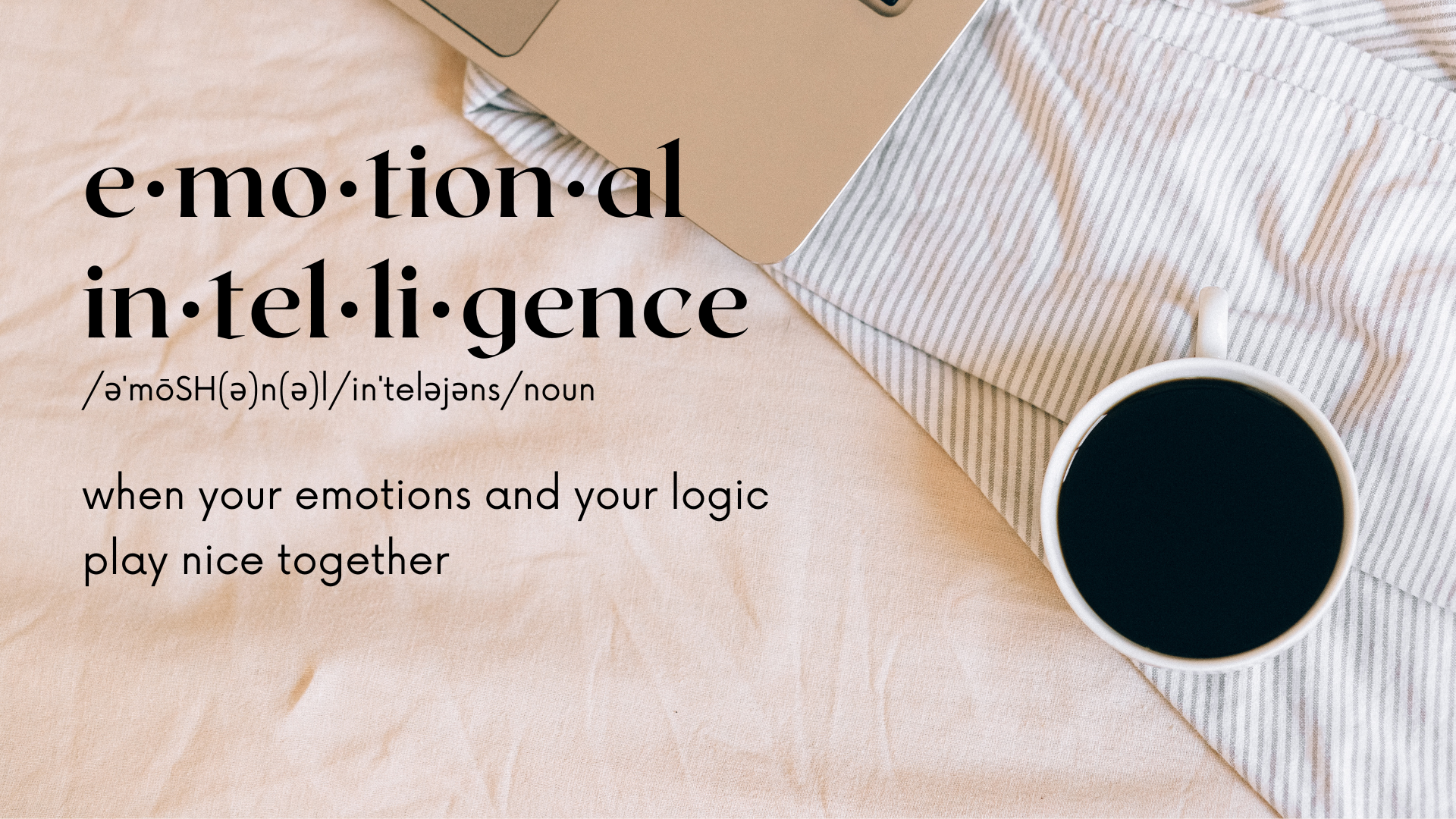 definition of emotional intelligence used in class is when emotions and your logic play nice together 