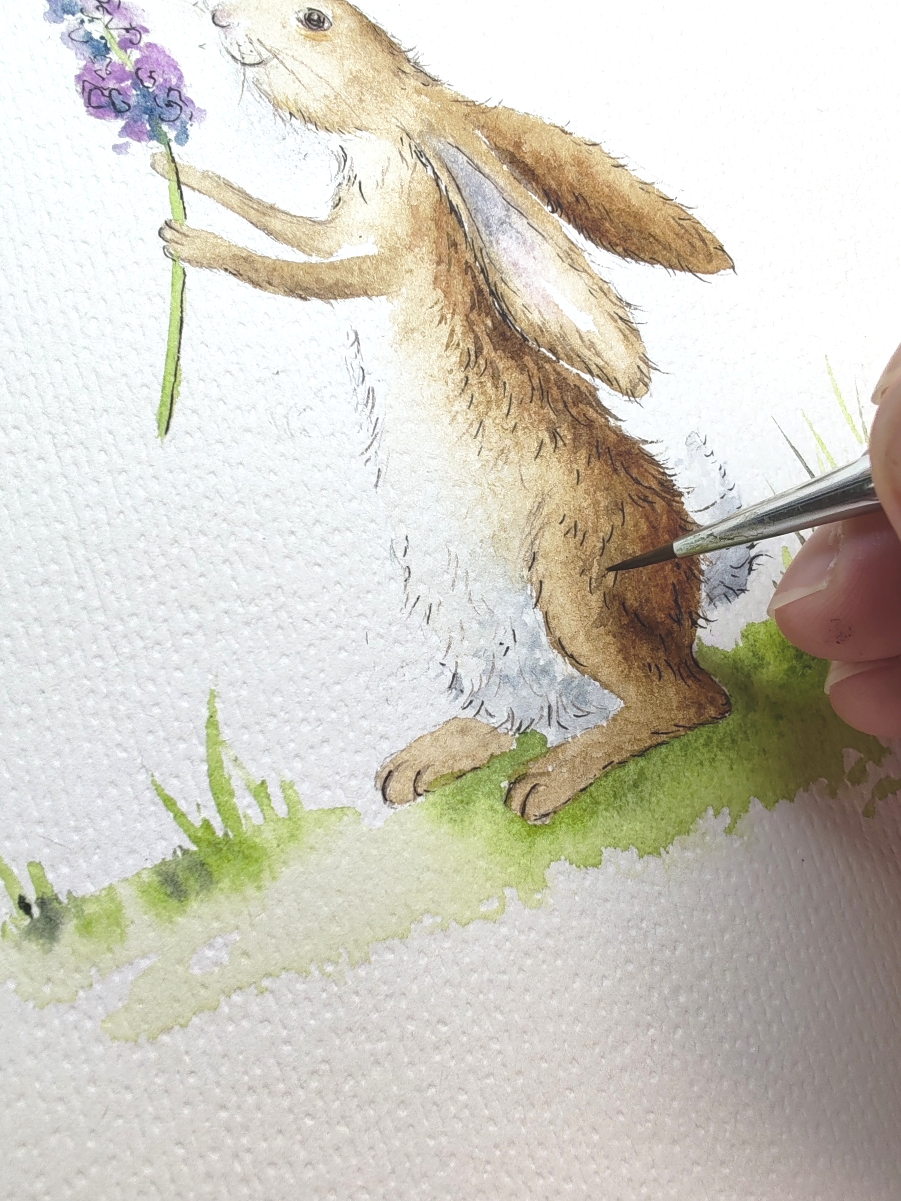 watercolour workshop hare and flower tutorial