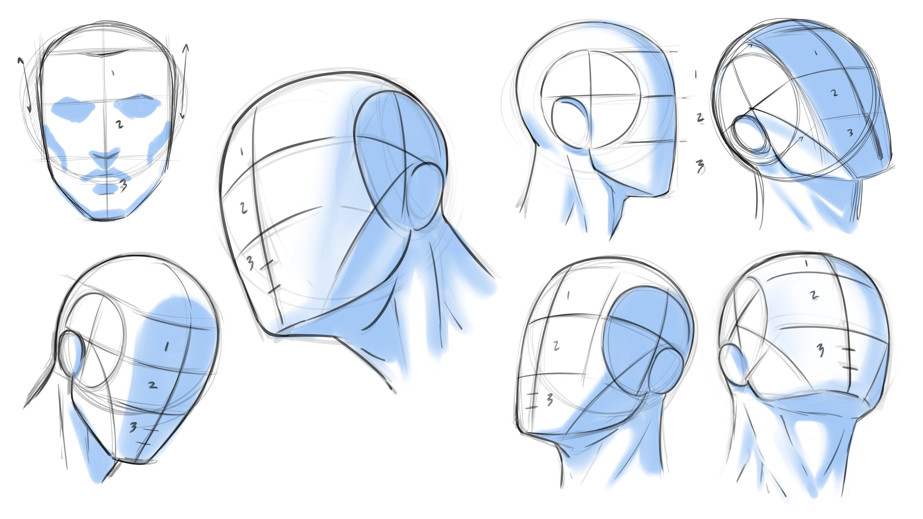 Learn how to Draw a Head step by step