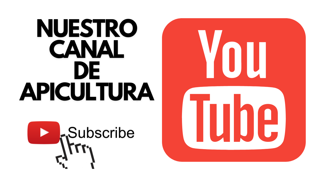 Canal de Youtube de Apicultura