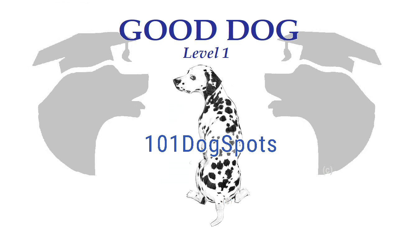 Good dog hot sale 101