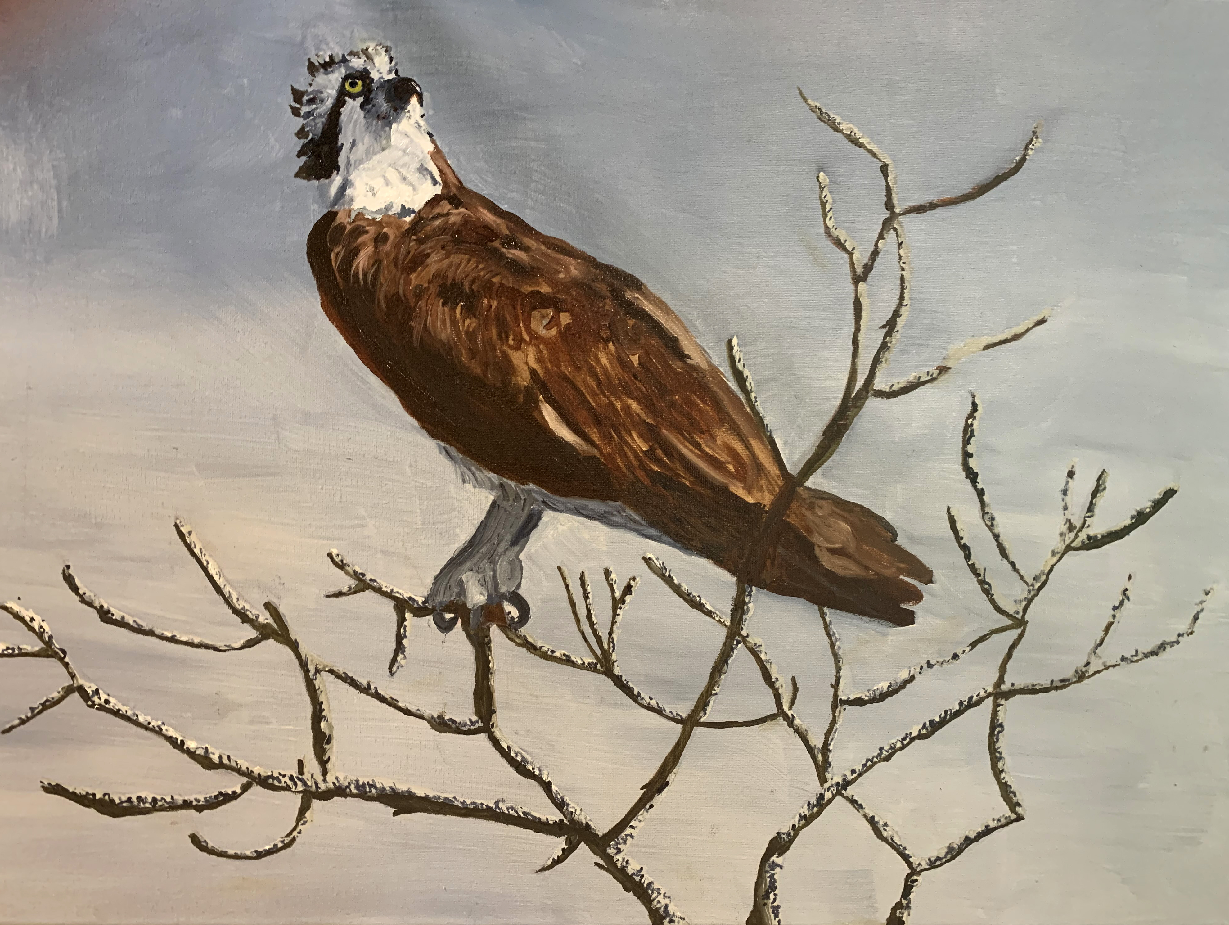 Oil painting of an Osprey, testimonial from student, Mary Lee Wetzel of RL Caldwell Studio