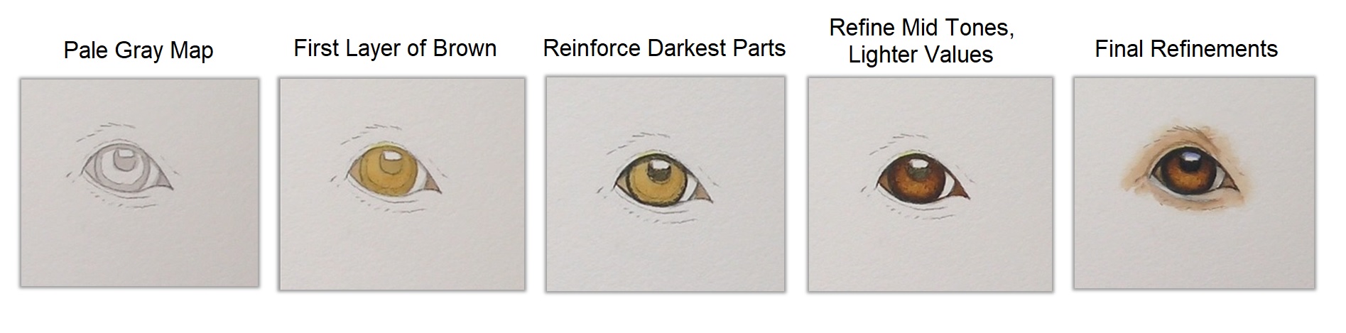 how to paint a brown eye in watercolor by rebecca rhodes