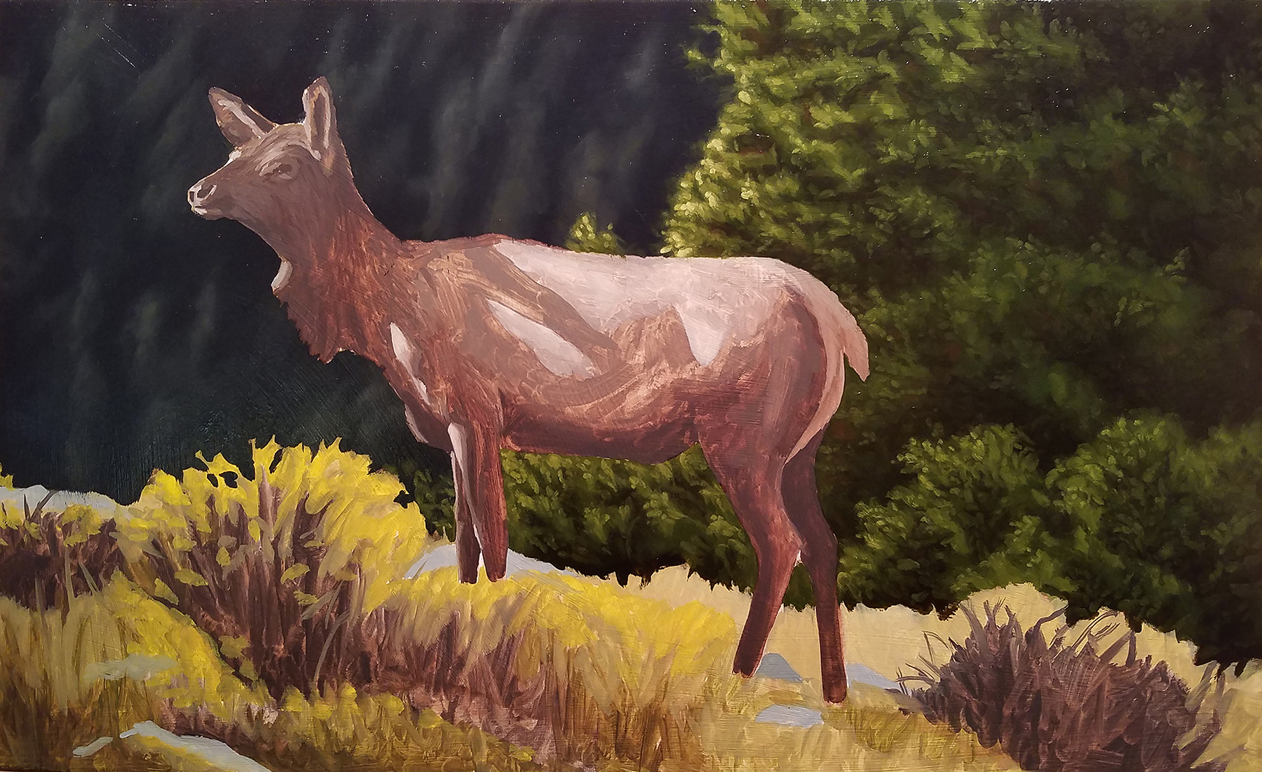 Elk oil painting, indirect method, over painting layer, background by Artist Robert Louis Caldwell