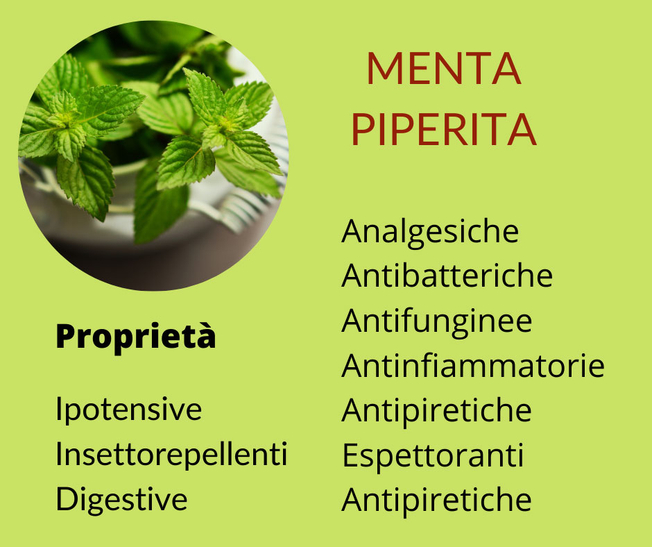 olio essenziale massaggio menta  chakra massaggio