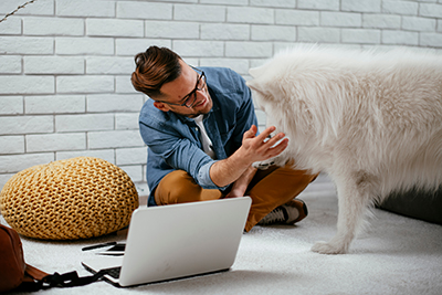 Puppy Essentials: Potty Training Workshop