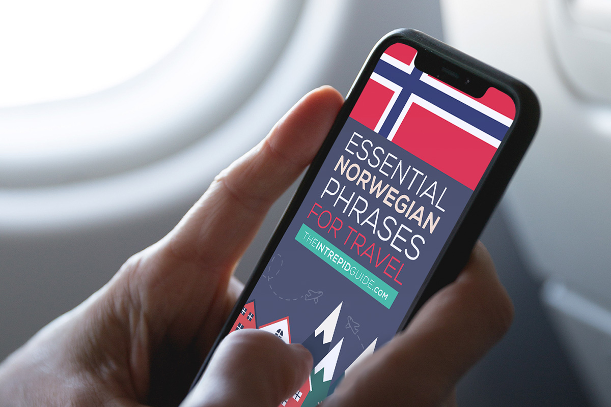 BONUS #2: Essential Norwegian Phrases for Travel ebook (Value: $47)