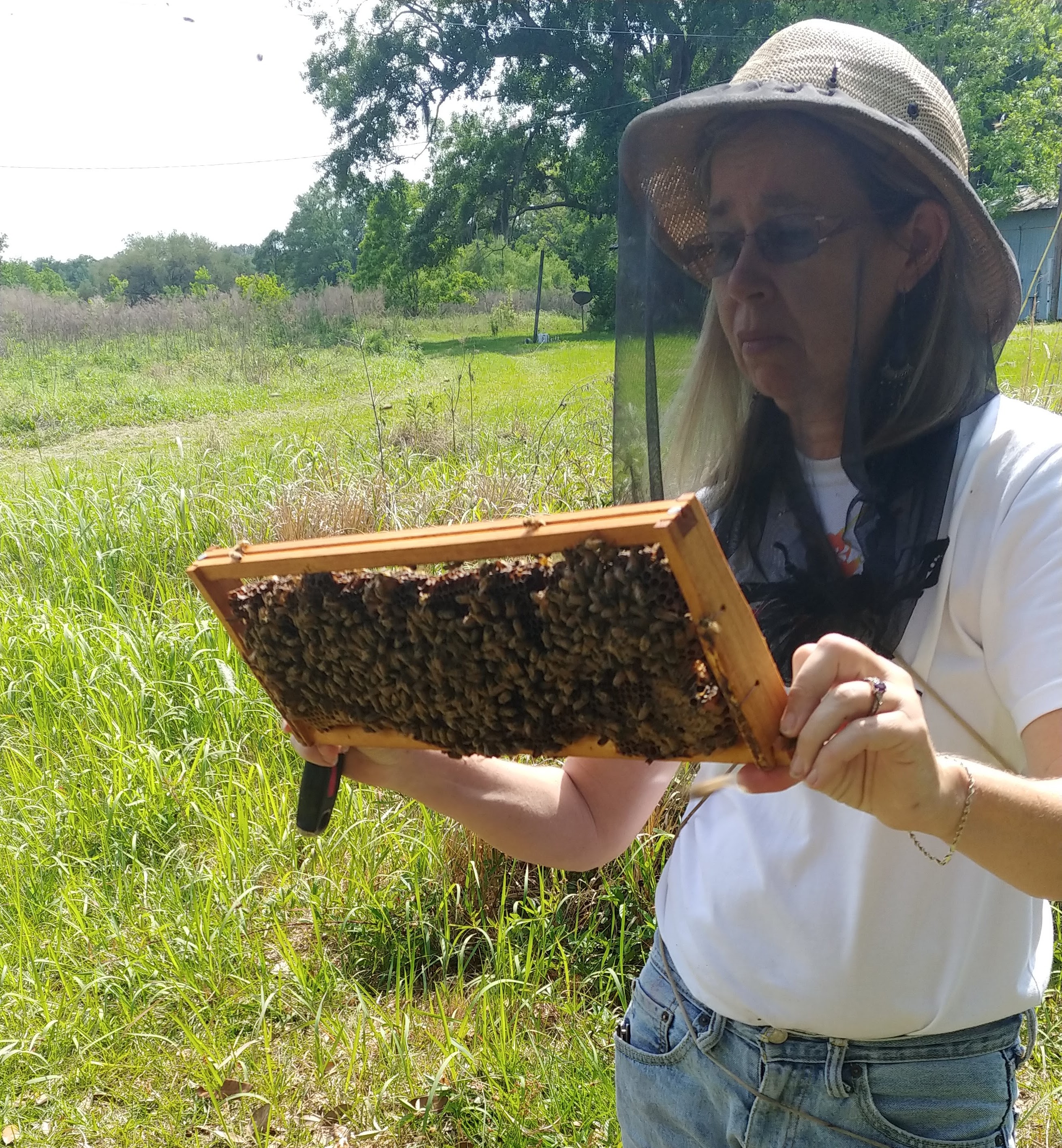 susan holding a box of 20 mated queen bees