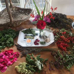 Hedgerow Herbal: Monthly Gatherings in the Irish Herbal Tradition