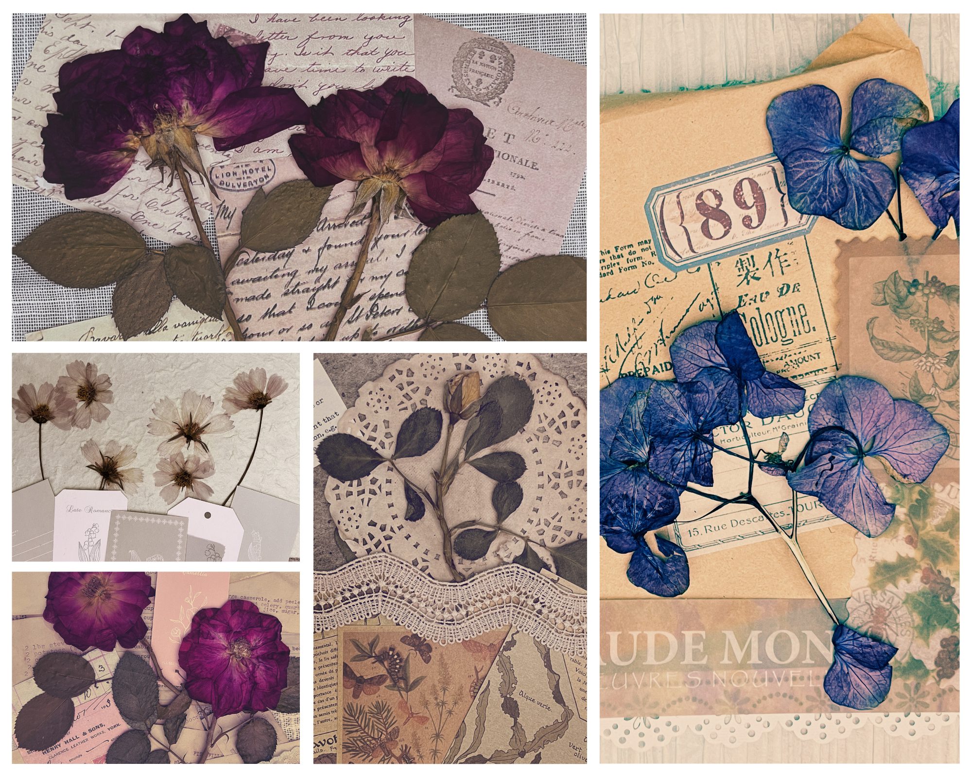 learn how to dry flowers and vintage photography flatlays queensland australia