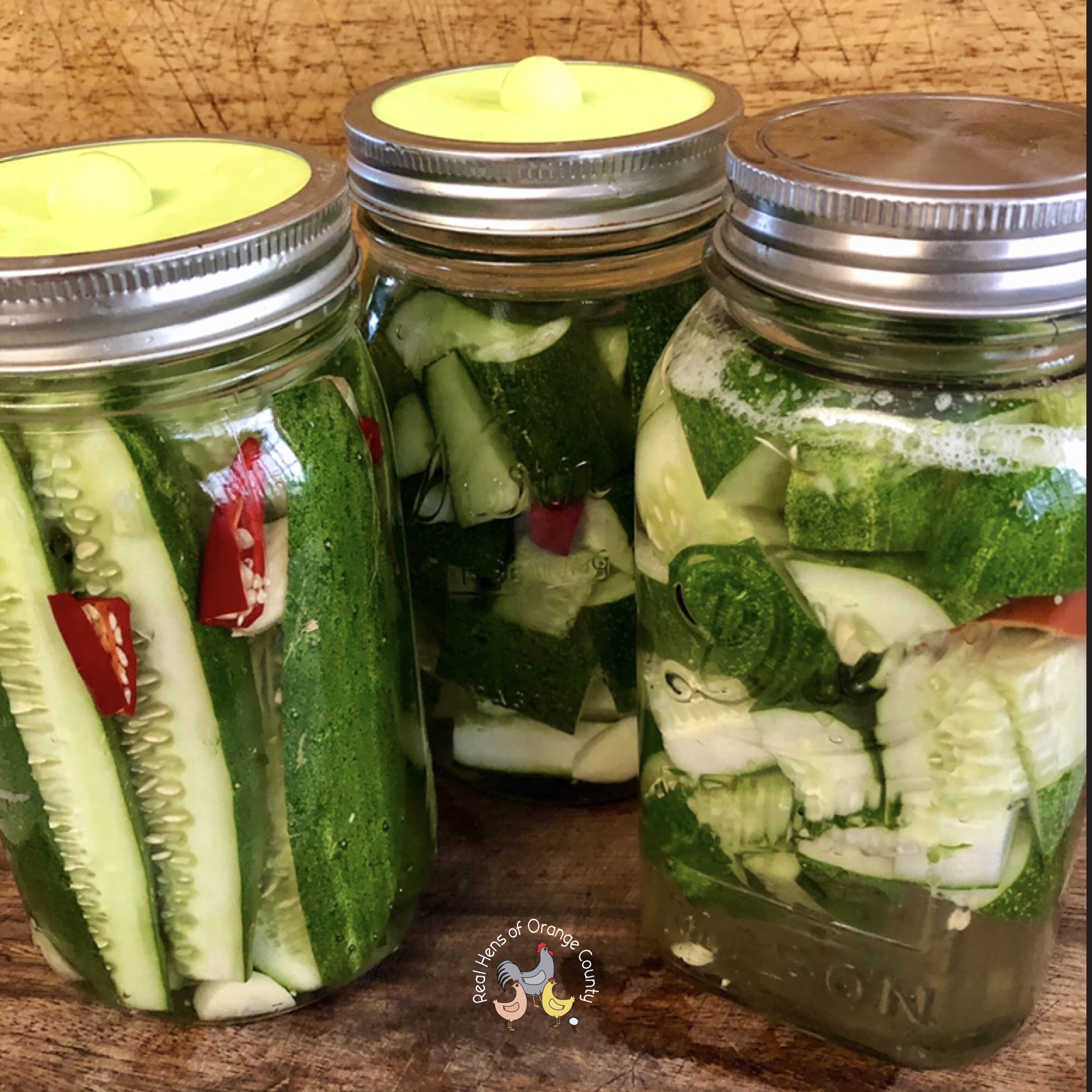 Three class jars filled with cucumbers in the process to becoming pickles.