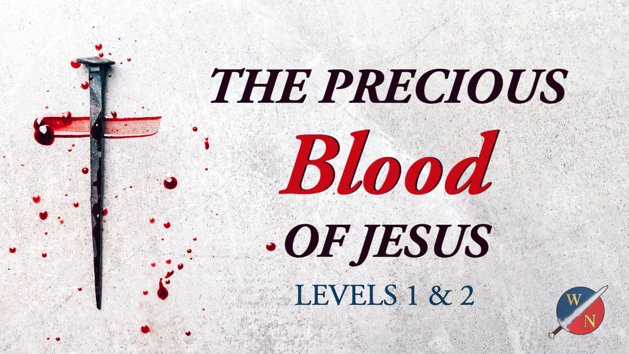 The Precious Blood of Jesus Bundle Image