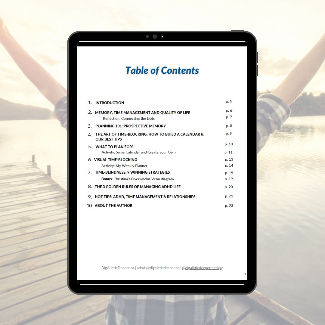 image of the table of contents for version 2
