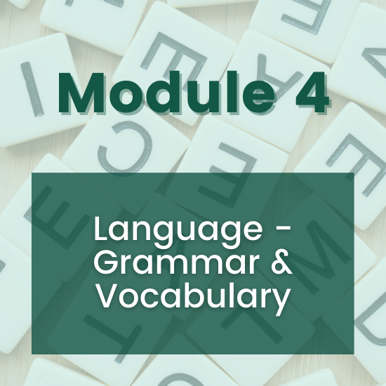 Section 4 - Language - Grammar & Vocabulary