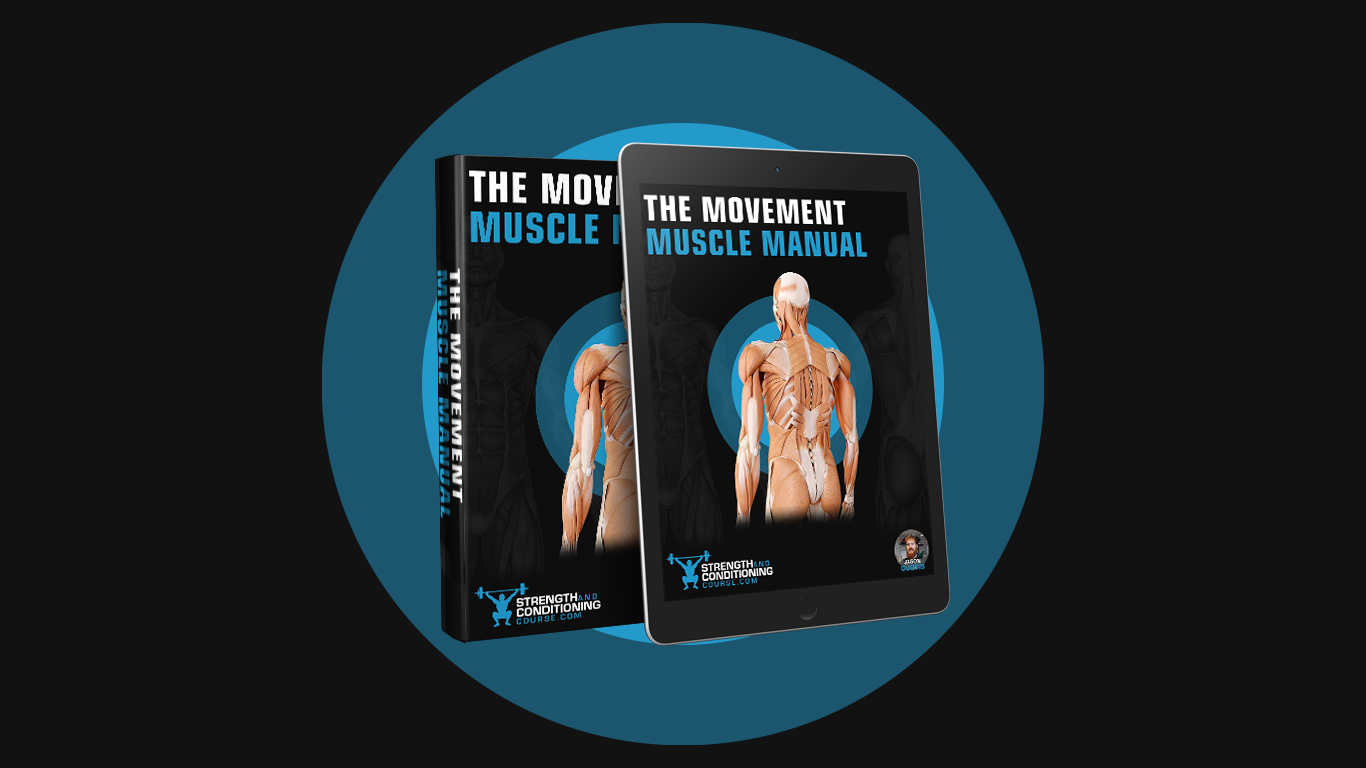 THE MOVEMENT MUSCLE MANUAL