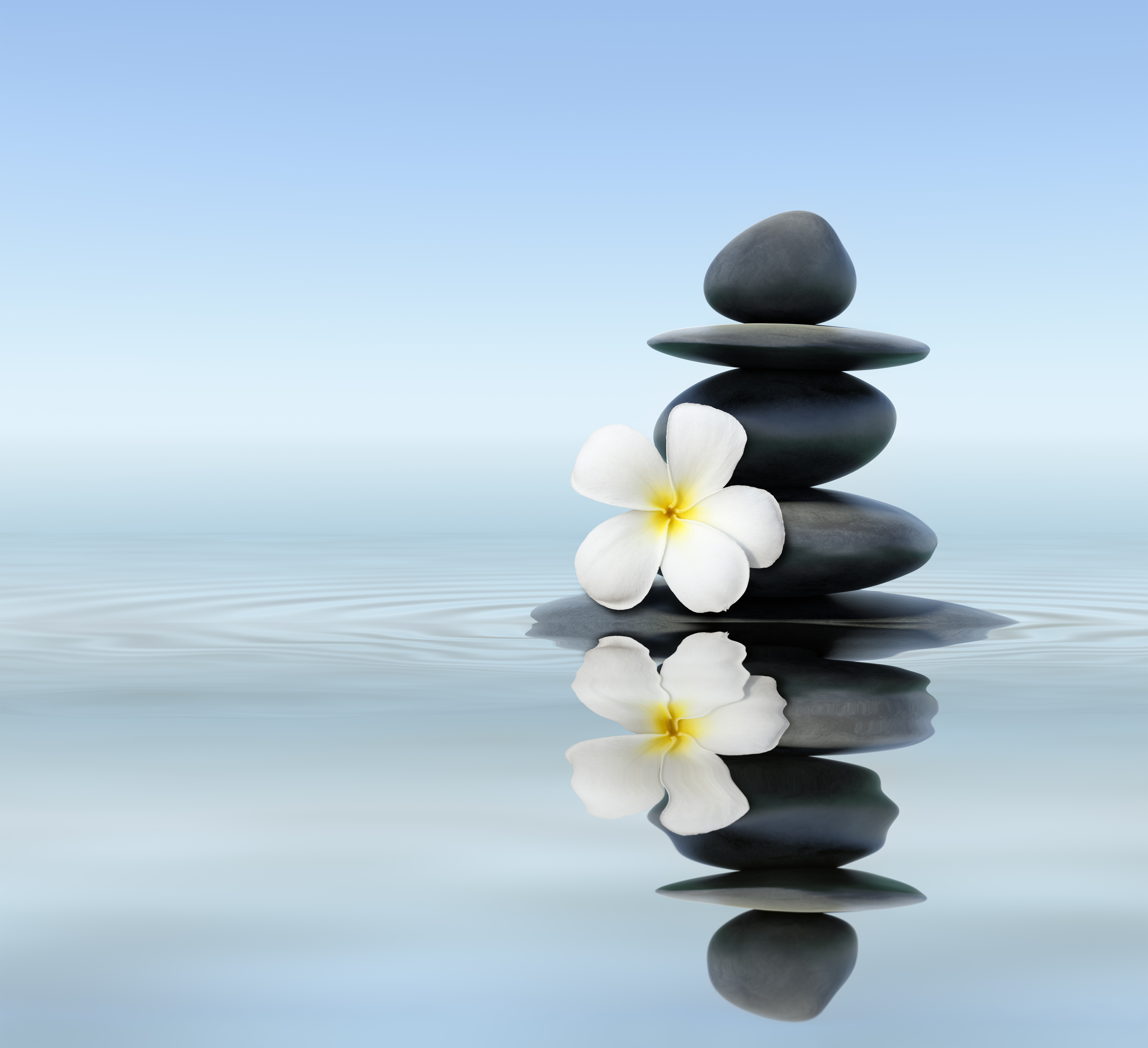 Learn About Gestalt Therapy 