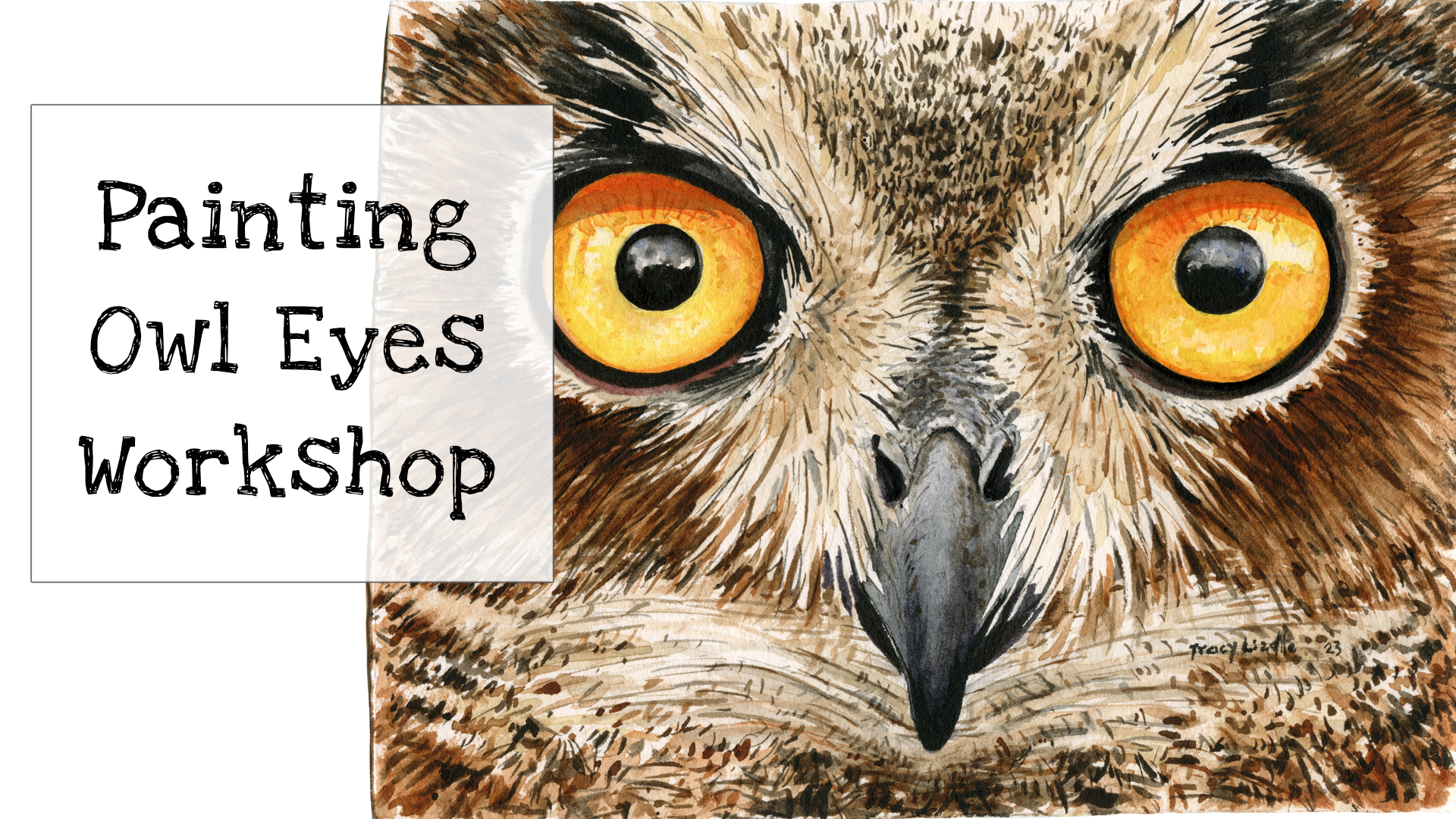 How to Paint Owl Eyes with Watercolors