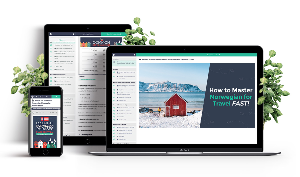Learn Norwegian Phrase for Travel