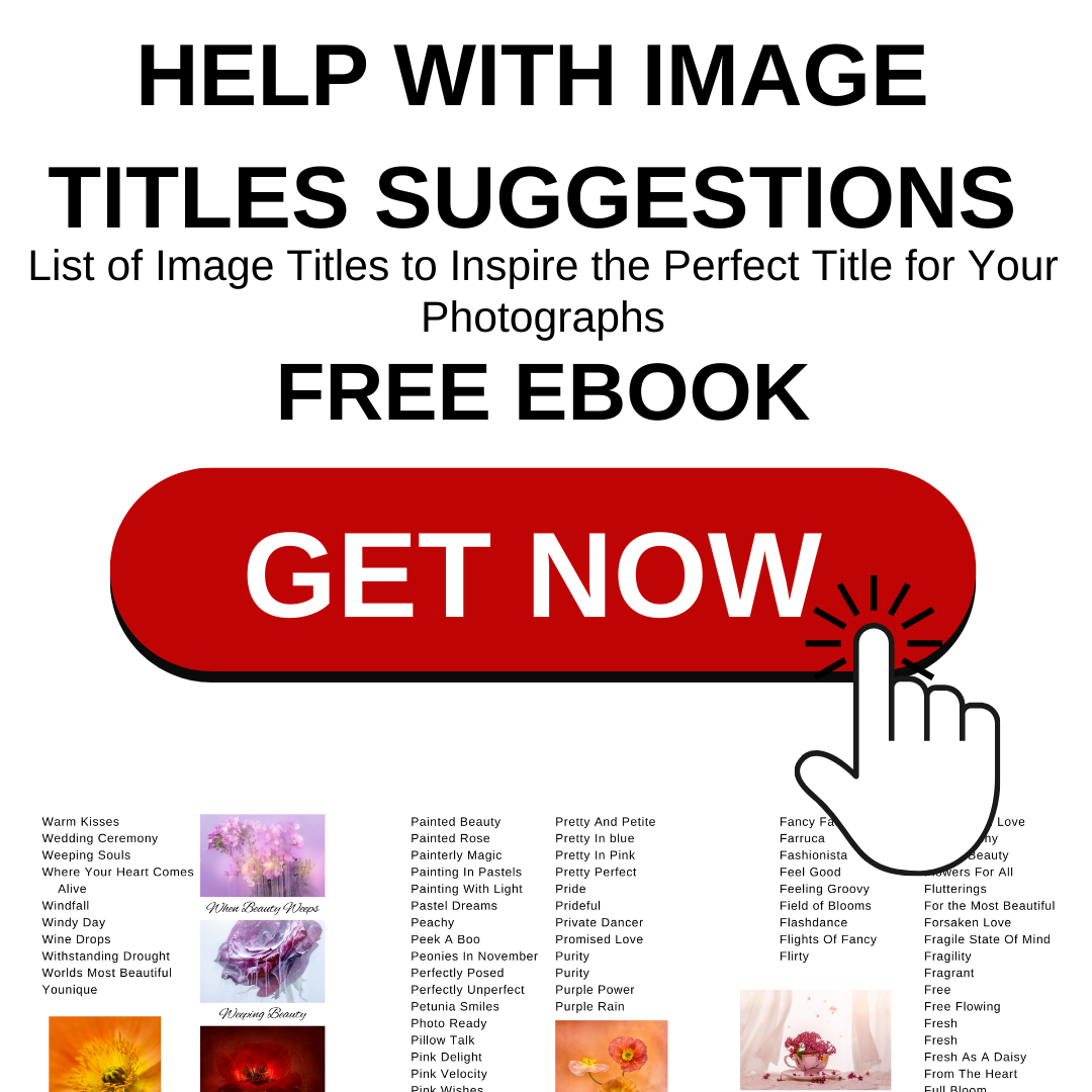 photo title suggestion ebook