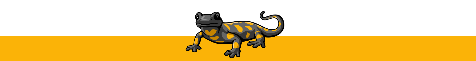 Sun Spiral Salamander