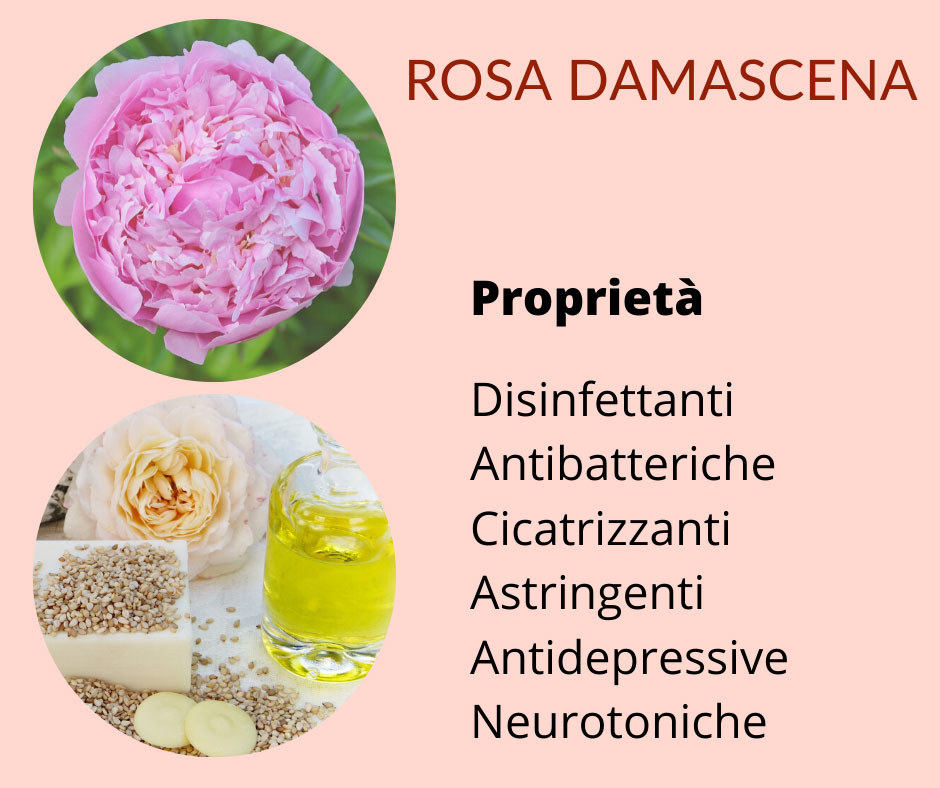 olio essenziale massaggio rosa chakra massaggio