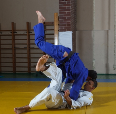 Judo therapy