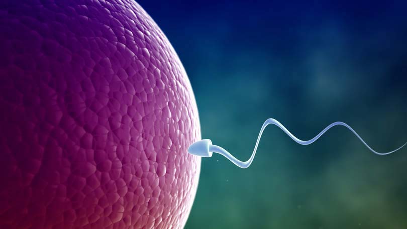 Hypnosis and Psychotherapy 4 Fertility for Practitioners